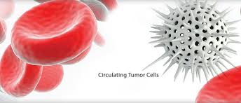 Circulating Tumor Cells (Ctcs) Detector